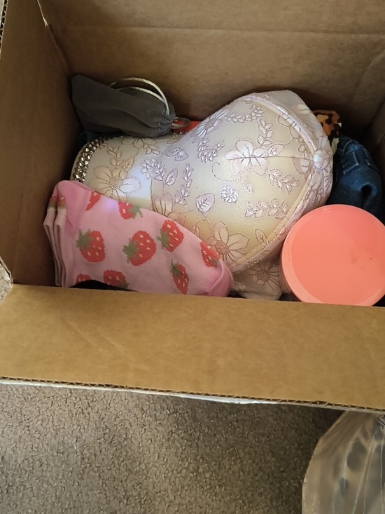 Jessica Simpson Other - Ladies Mystery Plus Brand New Package Of Jessica Simpson Makeup Brushes Etc.